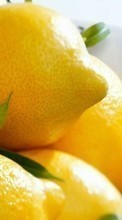 Ladda ner Fruits, Food, Lemons bilden 320x240 till mobilen.