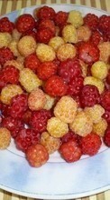 Ladda ner Fruits, Food, Raspberry, Berries bilden 800x480 till mobilen.