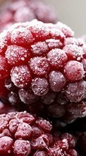 Food, Fruits, Raspberry till Sony Ericsson Xperia PLAY