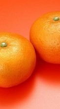 Ladda ner Fruits, Food, Tangerines, Still life bilden 320x480 till mobilen.