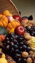 Food,Fruits,Vegetables till LG Optimus L7 2 P715