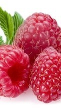 Ladda ner Food, Raspberry, Berries bilden 1280x800 till mobilen.