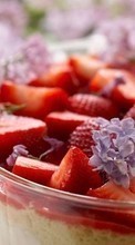 Food,Strawberry till Sony Ericsson Yendo
