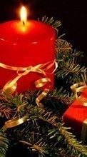 Ladda ner Holidays, New Year, Objects, Fir-trees, Christmas, Xmas, Candles bilden 320x240 till mobilen.