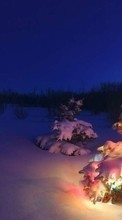 Ladda ner Fir-trees, New Year, Landscape, Holidays, Christmas, Xmas, Snow, Winter bilden till mobilen.