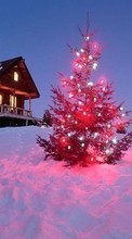 Ladda ner Holidays, Landscape, Winter, New Year, Fir-trees, Christmas, Xmas bilden till mobilen.
