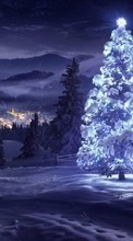 Ladda ner Fir-trees, New Year, Holidays, Pictures, Christmas, Xmas, Snow, Winter bilden till mobilen.
