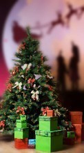 Ladda ner Fir-trees, New Year, Holidays, Christmas, Xmas bilden 1024x768 till mobilen.
