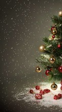 Ladda ner Fir-trees, New Year, Holidays, Christmas, Xmas bilden till mobilen.