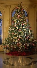 Ladda ner Holidays, New Year, Fir-trees, Christmas, Xmas bilden till mobilen.