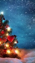 Ladda ner Fir-trees, New Year, Holidays, Christmas, Xmas, Snow bilden till mobilen.