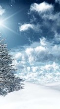 Fir-trees, New Year, Holidays, Christmas, Xmas, Winter, Stars till Asus ZenPad 7.0 Z370C