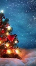 Ladda ner Fir-trees, New Year, Holidays, Snow bilden till mobilen.