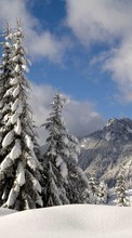Ladda ner Fir-trees, Landscape, Snow, Winter bilden 1024x768 till mobilen.