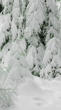 Ladda ner Fir-trees, Landscape, Snow, Winter bilden till mobilen.