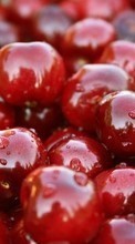 Ladda ner Fruits, Sweet cherry, Backgrounds, Berries bilden 240x400 till mobilen.
