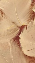 Feather,Objects till Fly ERA Nano 5 IQ434