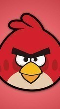 Ladda ner Background, Games, Angry Birds bilden till mobilen.