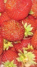 Ladda ner Strawberry, Backgrounds bilden 540x960 till mobilen.