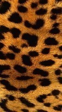 Ladda ner Background, Leopards bilden till mobilen.