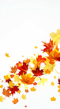 Ladda ner Background, Leaves, Autumn bilden till mobilen.