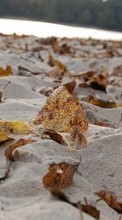 Ladda ner Backgrounds, Autumn, Leaves, Beach, Sand bilden 128x160 till mobilen.