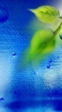 Plants, Backgrounds, Leaves till HTC Desire 310