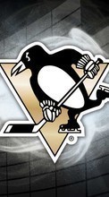 Ladda ner Background, Logos, Hockey, Pinguins, Sports bilden till mobilen.