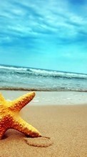 Ladda ner Background,Sea,Starfish,Beach bilden till mobilen.