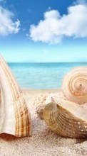 Ladda ner Background, Sea, Nature, Snails bilden till mobilen.