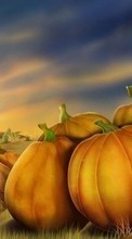 Background, Vegetables, Pictures, Pumpkin till Samsung Galaxy Ace 2