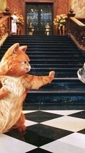 Cinema, Animals, Cats, Garfild till HTC Sensation