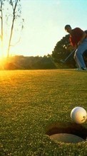 Ladda ner Sport, Humans, Grass, Sun, Golf bilden 240x320 till mobilen.
