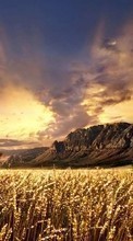 Ladda ner Mountains,People,Men,Landscape,Fields,Wheat bilden till mobilen.