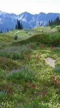 Ladda ner Landscape, Grass, Mountains bilden 128x160 till mobilen.