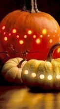 Ladda ner Holidays, Halloween, Vegetables, Pumpkin bilden 320x240 till mobilen.