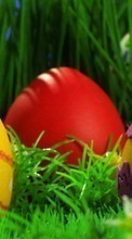 Eggs,Objects,Holidays