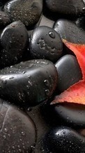 Stones, Drops, Leaves, Objects till HTC Desire 500