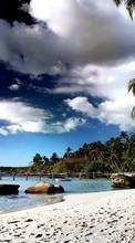 Landscape, Water, Stones, Sky, Sea, Beach, Palms till Sony Xperia Sola