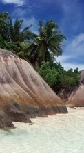Landscape, Stones, Sea, Beach, Palms till Nokia Asha 210