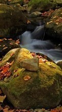 Ladda ner Landscape, Nature, Rivers, Stones, Autumn bilden 128x160 till mobilen.