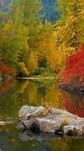 Landscape, Rivers, Stones, Autumn till Apple iPhone 6
