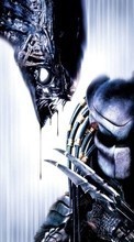 Ladda ner Cinema, AVP: Alien vs. Predator bilden 1024x768 till mobilen.
