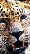 Ladda ner Animals, Leopards bilden 320x480 till mobilen.