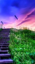 Ladders, Sky, Clouds, Landscape, Grass, Sunset till Sony Xperia ZR LTE