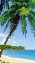 Ladda ner Landscape, Sea, Beach, Palms, Summer bilden 1080x1920 till mobilen.