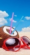 Ladda ner Summer, Drinks, Objects, Coconuts bilden till mobilen.
