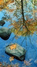 Leaves,Landscape,Rivers till HTC Desire 820G+