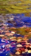 Ladda ner Landscape, Water, Leaves bilden 1080x1920 till mobilen.