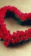 Ladda ner Plants, Roses, Hearts, Love, Valentine&#039;s day, Postcards bilden 540x960 till mobilen.